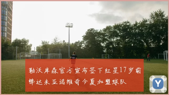 勒沃库森官方宣布签下红星17岁前锋达米亚诺维奇今夏加盟球队